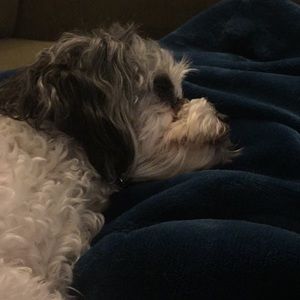 Meet your Posher, Brenda